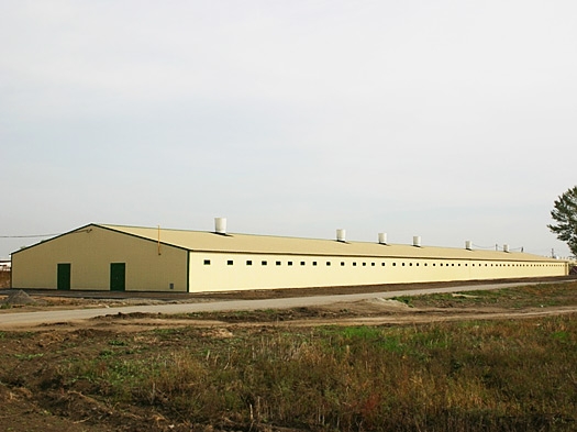 Строительство корпуса для супоросных свиноматок. Сельскохозяйственный объект находится в пос. Суходольский, Ростовской области.